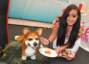 Corgi Dog Cake with Life Sized Grenadier Guard Cake