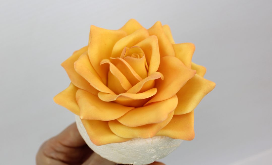 Fondant Rose Tutorial